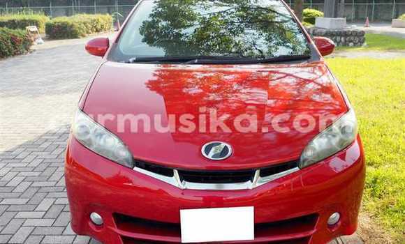 Nunua Ilio tumika Toyota Wish Nyekundu Gari ndani ya Bindura nchini Mashonaland Central