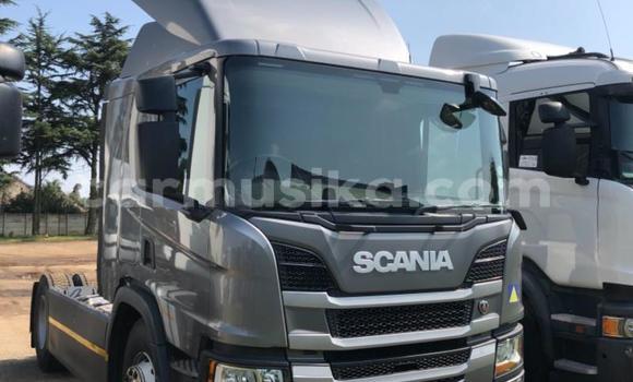 Tenga Tsaru Scania Irizar Zvimwe Rori in Harare in Harare Tenga Tsaru Scania Irizar Zvimwe Rori in Harare in Harare
