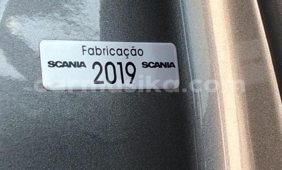 Tenga Tsaru Scania Irizar Zvimwe Rori in Harare in Harare Tenga Tsaru Scania Irizar Zvimwe Rori in Harare in Harare