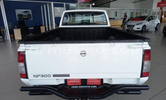 Acheter Occasion Voiture Nissan Hardbody Blanc à Beitbridge, Matabeleland South Acheter Occasion Voiture Nissan Hardbody Blanc à Beitbridge, Matabeleland South