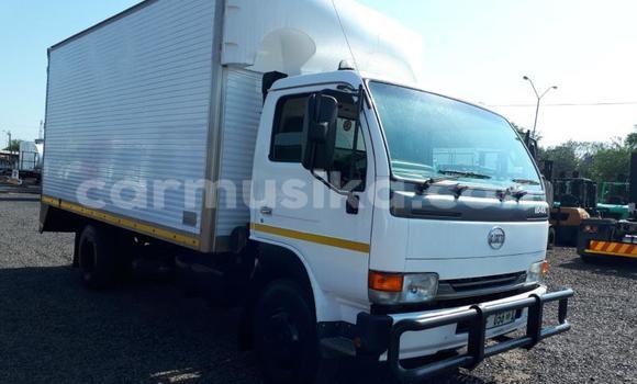 Tenga Tsaru Nissan UD Zvimwe Rori in Beitbridge in Matabeleland South