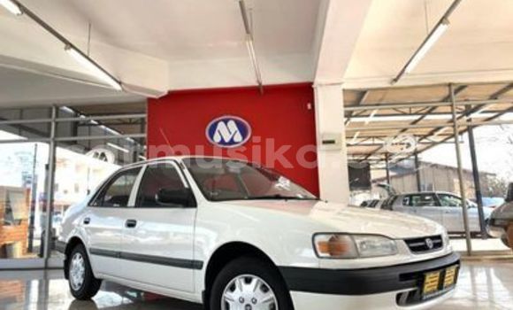 Buy Used Toyota Corolla White Car in Beitbridge in Matabeleland South