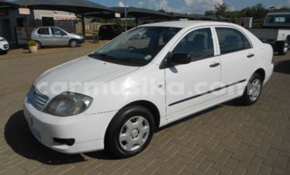 Nunua Ilio tumika Toyota Corolla Nyeupe Gari ndani ya Beitbridge nchini Matabeleland Kusini