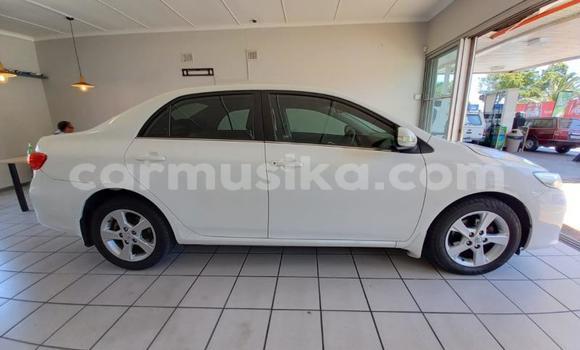 Buy Used Toyota Corolla White Car in Beitbridge in Matabeleland South Buy Used Toyota Corolla White Car in Beitbridge in Matabeleland South