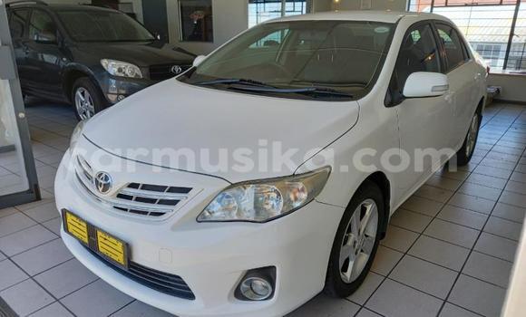 Buy Used Toyota Corolla White Car in Beitbridge in Matabeleland South Buy Used Toyota Corolla White Car in Beitbridge in Matabeleland South
