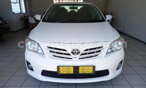 Buy Used Toyota Corolla White Car in Beitbridge in Matabeleland South Buy Used Toyota Corolla White Car in Beitbridge in Matabeleland South