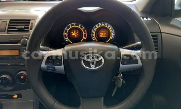 Buy Used Toyota Corolla White Car in Beitbridge in Matabeleland South Buy Used Toyota Corolla White Car in Beitbridge in Matabeleland South