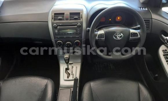 Buy Used Toyota Corolla White Car in Beitbridge in Matabeleland South Buy Used Toyota Corolla White Car in Beitbridge in Matabeleland South