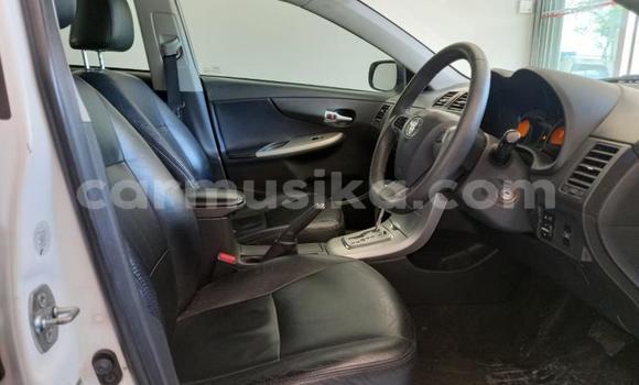 Buy Used Toyota Corolla White Car in Beitbridge in Matabeleland South Buy Used Toyota Corolla White Car in Beitbridge in Matabeleland South