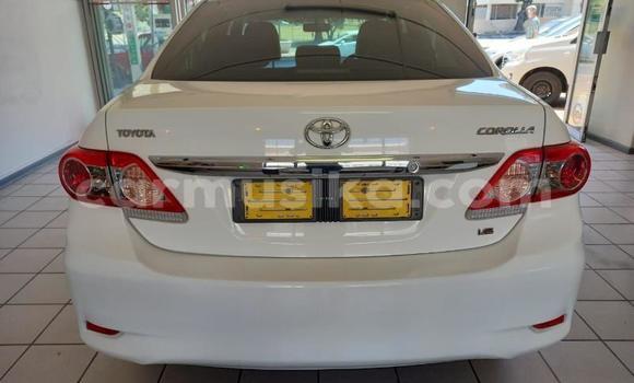 Buy Used Toyota Corolla White Car in Beitbridge in Matabeleland South Buy Used Toyota Corolla White Car in Beitbridge in Matabeleland South