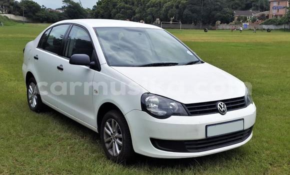 Buy Used Volkswagen Polo White Car in Beitbridge in Matabeleland South