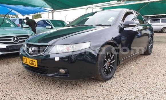 Buy Used Honda Accord Black Car in Alexandra Park in Harare