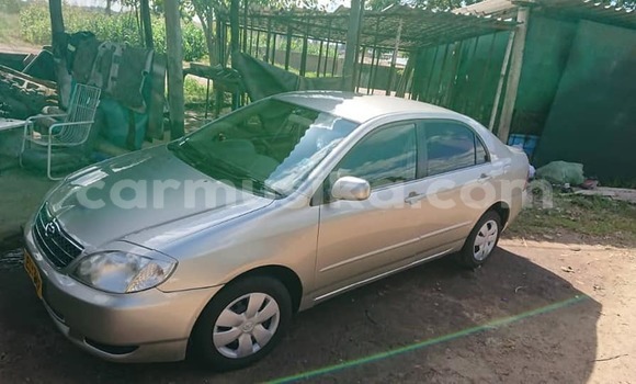 Acheter Occasion Voiture Toyota Corolla Gris à Alexandra Park, Harare Acheter Occasion Voiture Toyota Corolla Gris à Alexandra Park, Harare