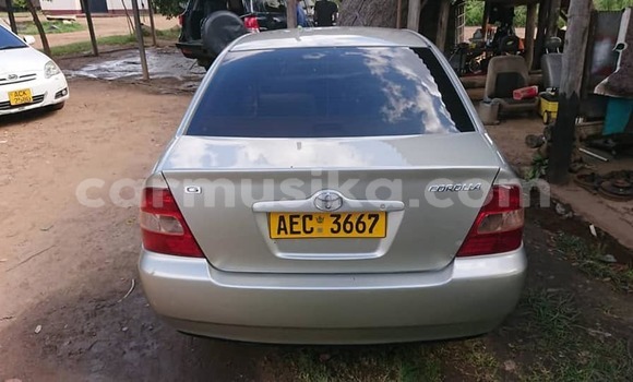 Acheter Occasion Voiture Toyota Corolla Gris à Alexandra Park, Harare Acheter Occasion Voiture Toyota Corolla Gris à Alexandra Park, Harare