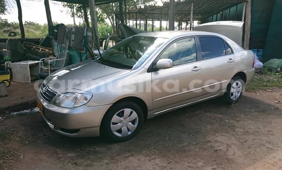 Acheter Occasion Voiture Toyota Corolla Gris à Alexandra Park, Harare Acheter Occasion Voiture Toyota Corolla Gris à Alexandra Park, Harare