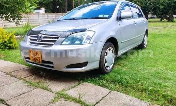 Acheter Occasion Voiture Toyota Runx Gris à Alexandra Park, Harare Acheter Occasion Voiture Toyota Runx Gris à Alexandra Park, Harare