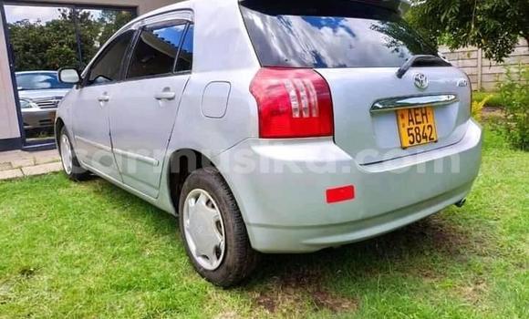 Acheter Occasion Voiture Toyota Runx Gris à Alexandra Park, Harare Acheter Occasion Voiture Toyota Runx Gris à Alexandra Park, Harare