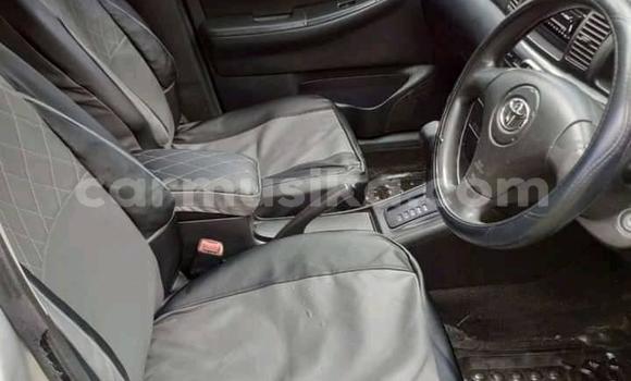 Acheter Occasion Voiture Toyota Runx Gris à Alexandra Park, Harare Acheter Occasion Voiture Toyota Runx Gris à Alexandra Park, Harare