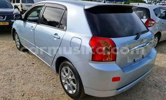 Buy Used Toyota Runx Blue Car in Alexandra Park in Harare