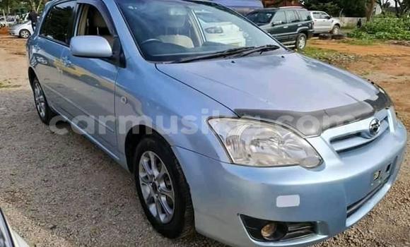 Acheter Occasion Voiture Toyota Runx Bleu à Alexandra Park, Harare Acheter Occasion Voiture Toyota Runx Bleu à Alexandra Park, Harare