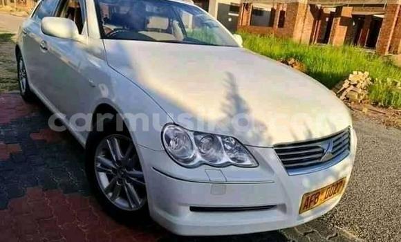 Tenga Tsaru Toyota Mark X Chena Mota in Alexandra Park in Harare