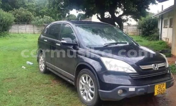 Acheter Occasion Voiture Honda CR–V Noir à Alexandra Park, Harare Acheter Occasion Voiture Honda CR–V Noir à Alexandra Park, Harare
