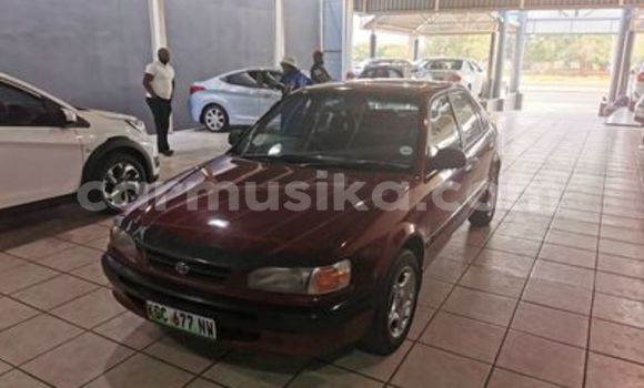 Nunua Ilio tumika Toyota Corolla Nyekundu Gari ndani ya Beitbridge nchini Matabeleland Kusini Nunua Ilio tumika Toyota Corolla Nyekundu Gari ndani ya Beitbridge nchini Matabeleland Kusini