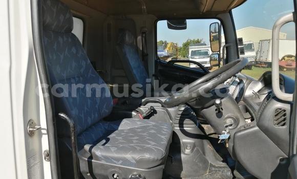 Tenga Tsaru Hino 300 Series Chena Rori in Beitbridge in Matabeleland South Tenga Tsaru Hino 300 Series Chena Rori in Beitbridge in Matabeleland South