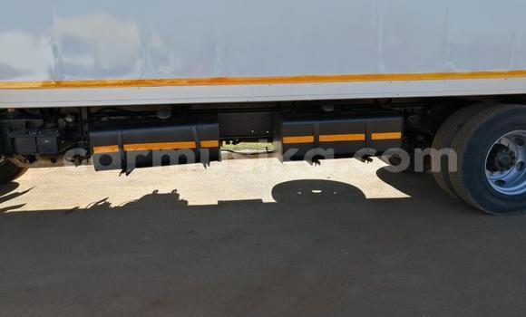 Tenga Tsaru Hino 300 Series Chena Rori in Beitbridge in Matabeleland South Tenga Tsaru Hino 300 Series Chena Rori in Beitbridge in Matabeleland South