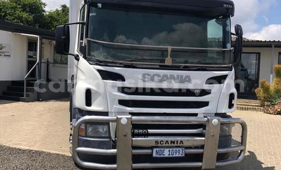 Tenga Tsaru Scania Irizar Chena Rori in Beitbridge in Matabeleland South Tenga Tsaru Scania Irizar Chena Rori in Beitbridge in Matabeleland South