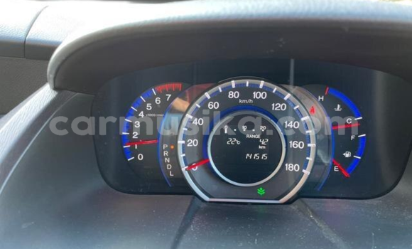 Tenga Tsaru Honda Odyssey Chena Mota in Beitbridge in Matabeleland South Tenga Tsaru Honda Odyssey Chena Mota in Beitbridge in Matabeleland South