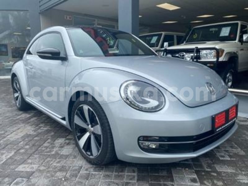 Big with watermark volkswagen beetle matabeleland south beitbridge 20768