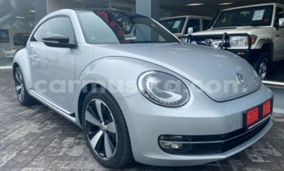Buy Used Volkswagen Beetle Silver Car in Beitbridge in Matabeleland South