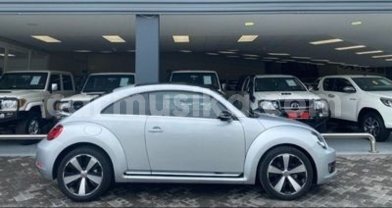 Big with watermark volkswagen beetle matabeleland south beitbridge 20768