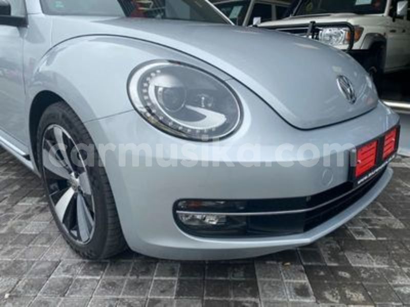 Big with watermark volkswagen beetle matabeleland south beitbridge 20768