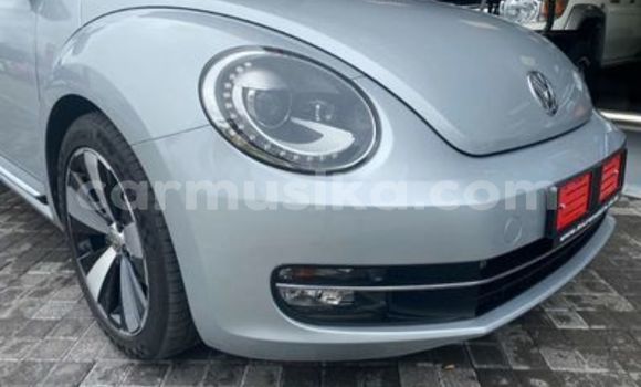 Tenga Tsaru Volkswagen Beetle Sirivha Mota in Beitbridge in Matabeleland South Tenga Tsaru Volkswagen Beetle Sirivha Mota in Beitbridge in Matabeleland South