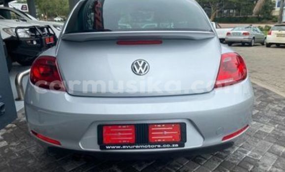 Tenga Tsaru Volkswagen Beetle Sirivha Mota in Beitbridge in Matabeleland South Tenga Tsaru Volkswagen Beetle Sirivha Mota in Beitbridge in Matabeleland South