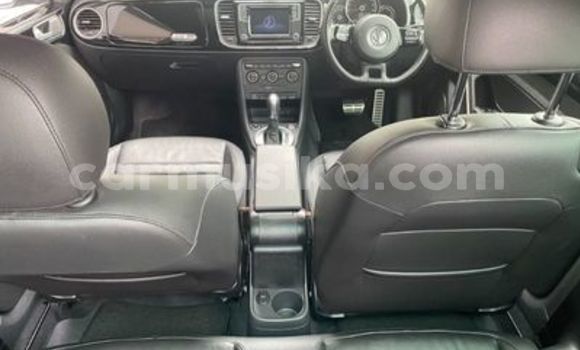 Tenga Tsaru Volkswagen Beetle Sirivha Mota in Beitbridge in Matabeleland South Tenga Tsaru Volkswagen Beetle Sirivha Mota in Beitbridge in Matabeleland South