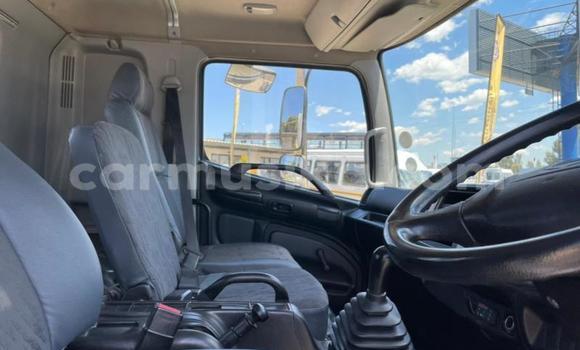 Tenga Tsaru Hino 300 Series Chena Rori in Beitbridge in Matabeleland South Tenga Tsaru Hino 300 Series Chena Rori in Beitbridge in Matabeleland South