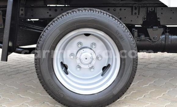 Tenga Tsaru Toyota Dyna Chena Rori in Beitbridge in Matabeleland South Tenga Tsaru Toyota Dyna Chena Rori in Beitbridge in Matabeleland South