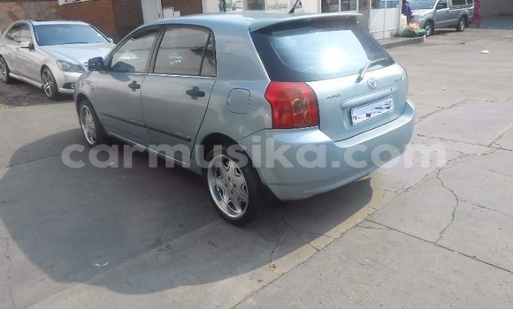 Buy Used Toyota Runx Blue Car in Beitbridge in Matabeleland South Buy Used Toyota Runx Blue Car in Beitbridge in Matabeleland South