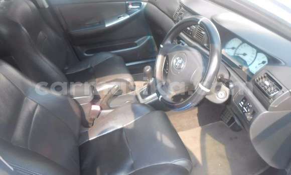 Buy Used Toyota Runx Blue Car in Beitbridge in Matabeleland South Buy Used Toyota Runx Blue Car in Beitbridge in Matabeleland South