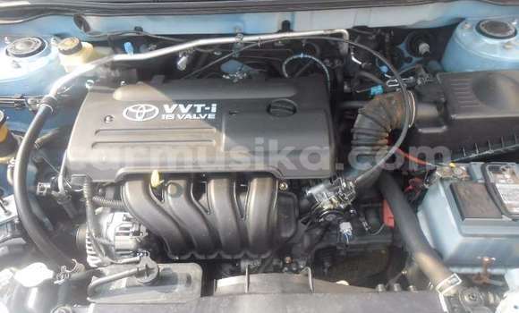 Buy Used Toyota Runx Blue Car in Beitbridge in Matabeleland South Buy Used Toyota Runx Blue Car in Beitbridge in Matabeleland South