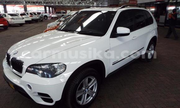 Buy Used BMW X5 White Car in Beitbridge in Matabeleland South