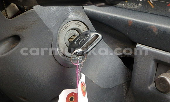 Tenga Tsaru Toyota Dyna Zvimwe Rori in Beitbridge in Matabeleland South Tenga Tsaru Toyota Dyna Zvimwe Rori in Beitbridge in Matabeleland South