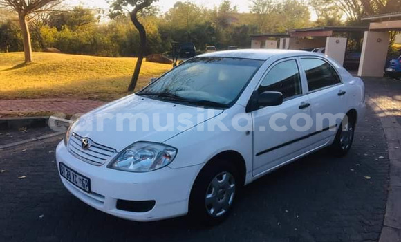 Tenga Tsaru Toyota Corolla Chena Mota in Beitbridge in Matabeleland South Tenga Tsaru Toyota Corolla Chena Mota in Beitbridge in Matabeleland South