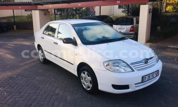 Acheter Occasion Voiture Toyota Corolla Blanc à Beitbridge, Matabeleland South Acheter Occasion Voiture Toyota Corolla Blanc à Beitbridge, Matabeleland South