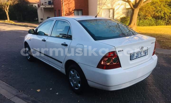 Acheter Occasion Voiture Toyota Corolla Blanc à Beitbridge, Matabeleland South Acheter Occasion Voiture Toyota Corolla Blanc à Beitbridge, Matabeleland South