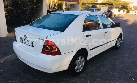 Acheter Occasion Voiture Toyota Corolla Blanc à Beitbridge, Matabeleland South Acheter Occasion Voiture Toyota Corolla Blanc à Beitbridge, Matabeleland South