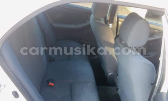 Acheter Occasion Voiture Toyota Corolla Blanc à Beitbridge, Matabeleland South Acheter Occasion Voiture Toyota Corolla Blanc à Beitbridge, Matabeleland South